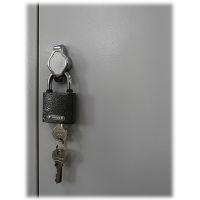 Петля под навесной замок с поворотной ручкой